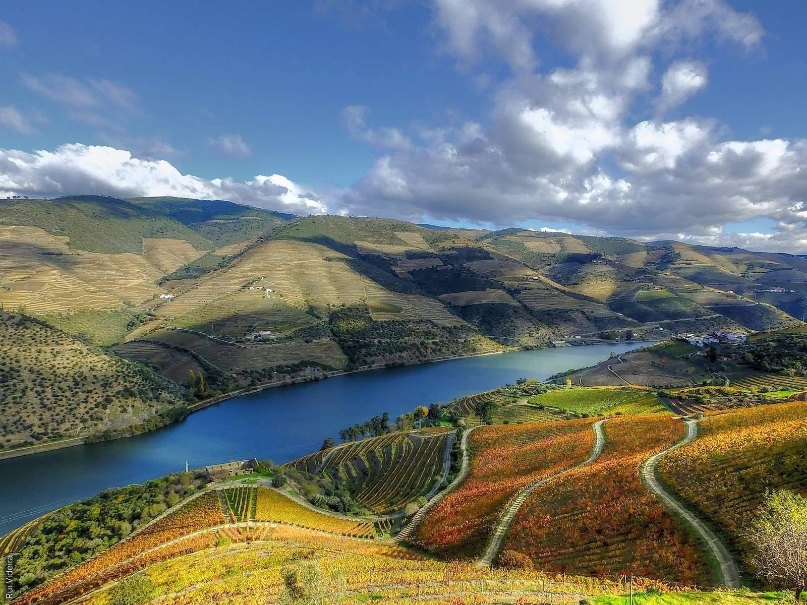 Vignes en terrasses d'automne descendant vers un méandre du Douro