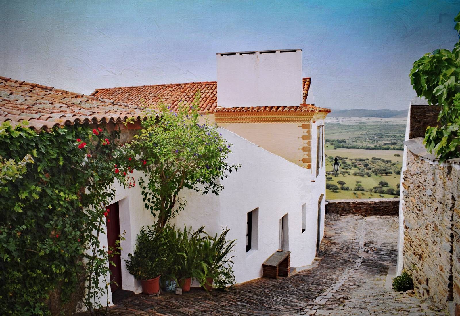A whitewashed lane in Monsaraz, roses climbing the wall above the Alentejo plains