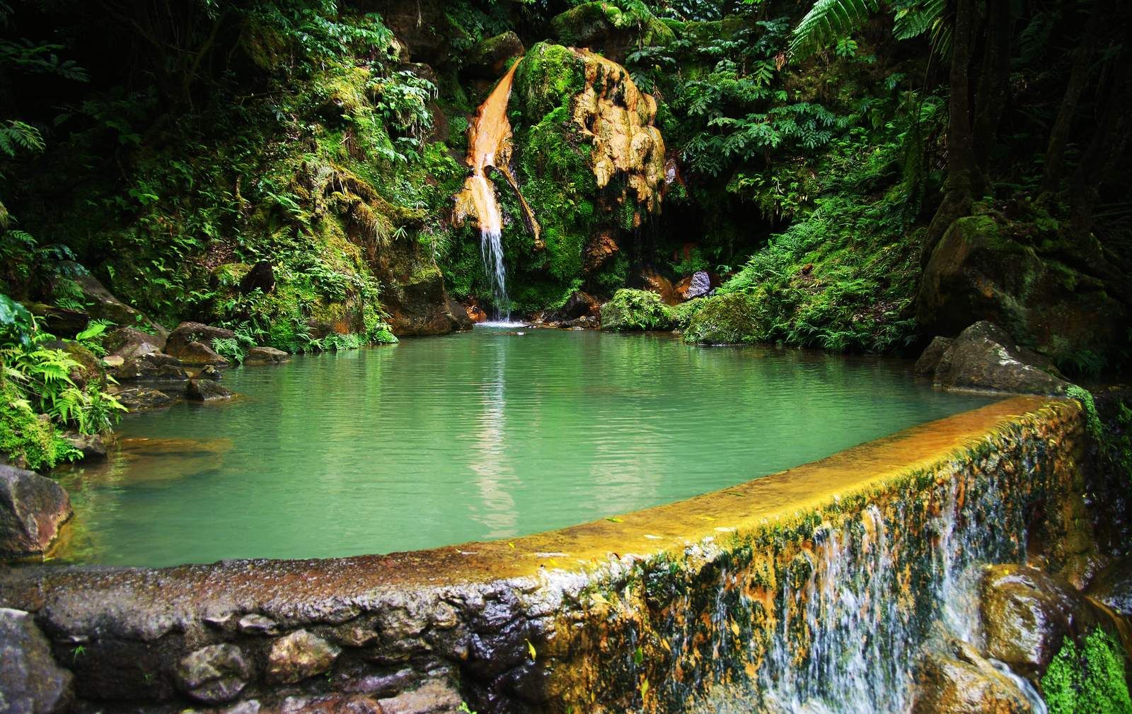 The warm forest pool of Caldeira Velha, fed by a volcanic spring