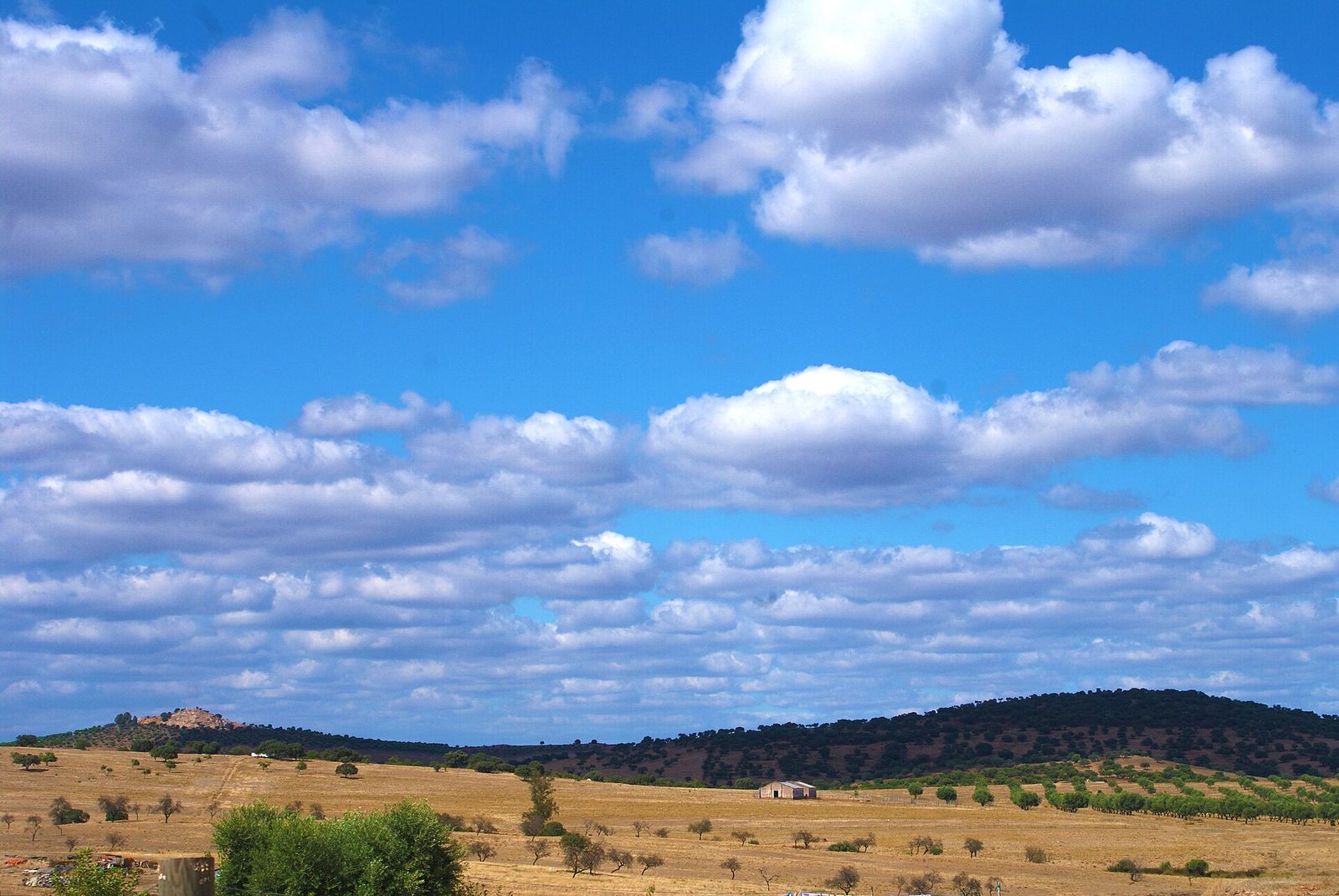 Les plaines vallonnées et les chênes-lièges de l'Alentejo