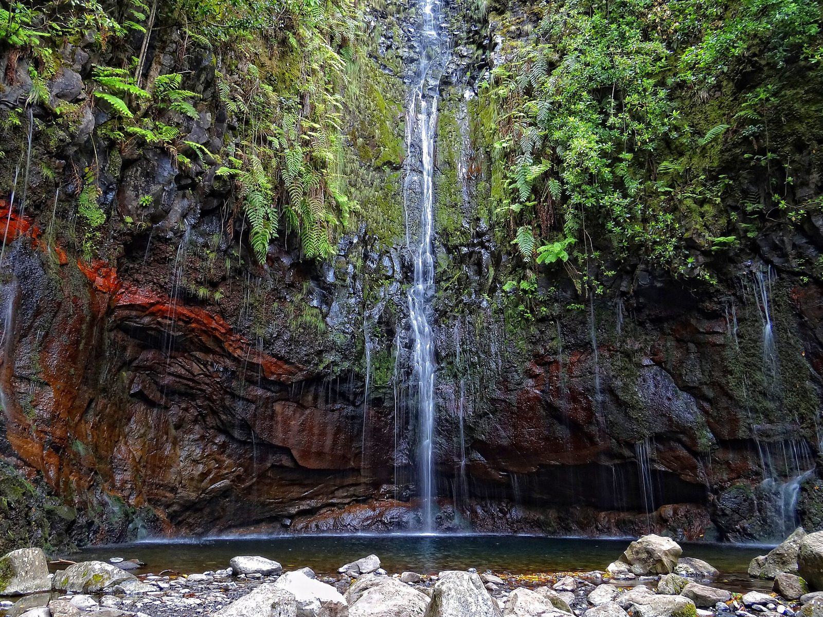 La cascade des 25 Fontes dans la forêt de lauriers de Madère