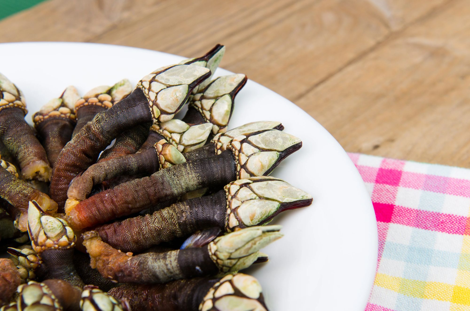 Une assiette de percebes, les pouce-pieds portugais